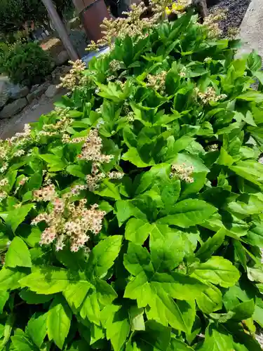 大鏑神社の自然