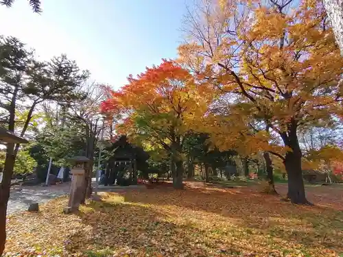 月寒神社の自然