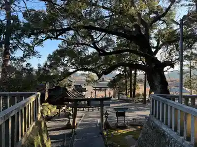 事任八幡宮(静岡県)