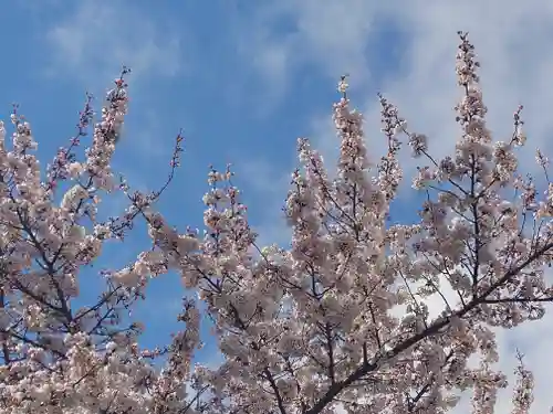 志苔館(和人殉難御霊・阿伊怒悵魂御霊慰霊碑)の自然