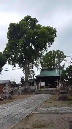 竹鼻八剱神社(八剣神社)の本殿・本堂