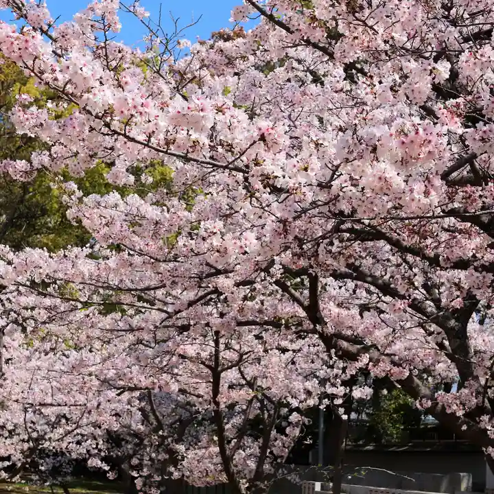 三津厳島神社の自然