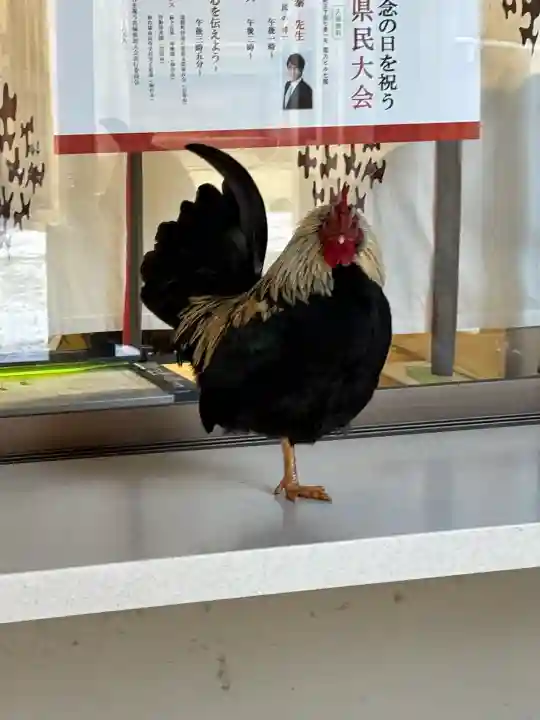 大崎八幡宮の{uncategorized: "未分類", other: "その他", undefined: "問題あり", building: "その他建物", grave: "お墓", sacred_gate: "鳥居", guardian: "狛犬", statue: "像", buddha: "仏像", history: "歴史", nature: "自然", garden: "庭園", animal: "動物", pagoda: "塔", temizu: "手水舎", mountain_gate: "山門・神門", sanctuary: "本殿・本堂", subordinate: "末社・摂社", art: "芸術", scenery: "景色", jizo: "地蔵", ema: "絵馬", goshuin: "御朱印", omikuji: "おみくじ", items: "授与品その他", amulet: "お守り", goshuincho: "御朱印帳", eats: "食事", festival: "お祭り", votive_dance: "神楽", shichigosan: "七五三参", wedding: "結婚式", experience: "体験その他", initially: "初詣", around: "周辺", anti_infection: "感染症対策"}