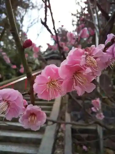 椿原天満宮(石川県)
