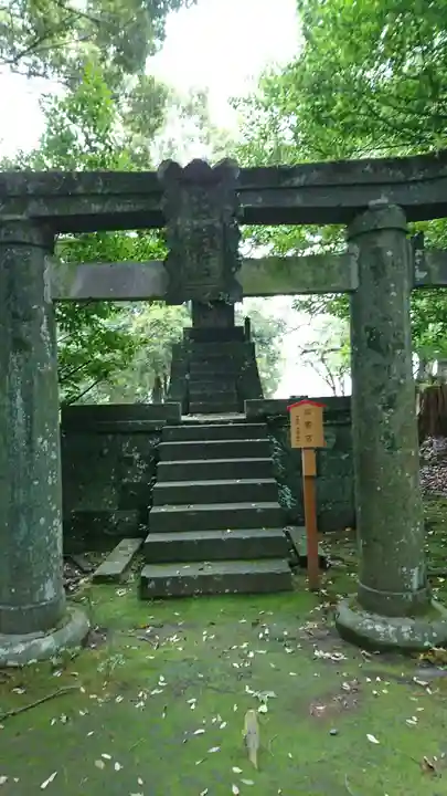 大宮神社の鳥居