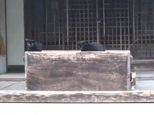 吉香神社(山口県)