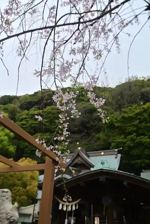 根岸八幡神社(神奈川県)