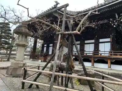 大谷本廟の本殿・本堂