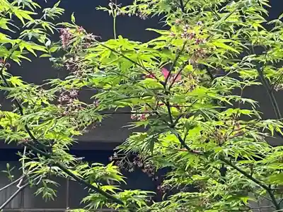 遠照山 光明寺（尼崎大仏）(兵庫県)