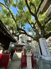 足の神様 服部天神宮(大阪府)