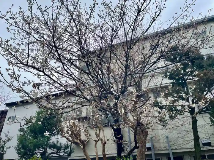 本寿寺の{uncategorized: "未分類", other: "その他", undefined: "問題あり", building: "その他建物", grave: "お墓", sacred_gate: "鳥居", guardian: "狛犬", statue: "像", buddha: "仏像", history: "歴史", nature: "自然", garden: "庭園", animal: "動物", pagoda: "塔", temizu: "手水舎", mountain_gate: "山門・神門", sanctuary: "本殿・本堂", subordinate: "末社・摂社", art: "芸術", scenery: "景色", jizo: "地蔵", ema: "絵馬", goshuin: "御朱印", omikuji: "おみくじ", items: "授与品その他", amulet: "お守り", goshuincho: "御朱印帳", eats: "食事", festival: "お祭り", votive_dance: "神楽", shichigosan: "七五三参", wedding: "結婚式", experience: "体験その他", initially: "初詣", around: "周辺", anti_infection: "感染症対策"}