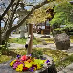 定林山　能成寺の庭園