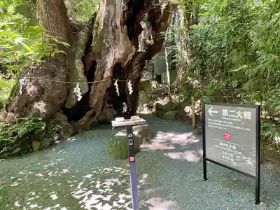 來宮神社(静岡県)