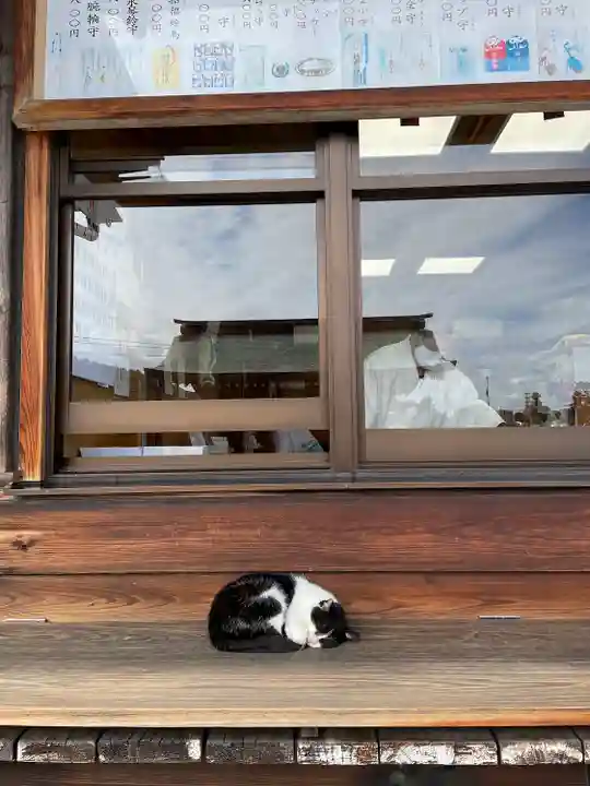 石清尾八幡宮の動物