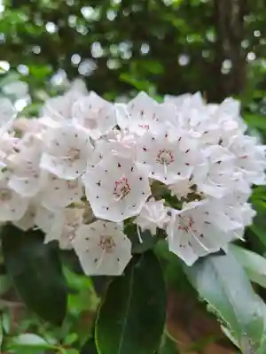 厚別神社(北海道)