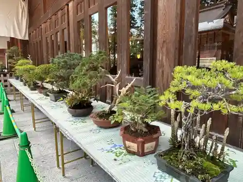 穂高神社本宮(長野県)