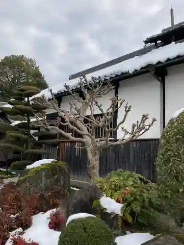 青蓮寺(兵庫県)