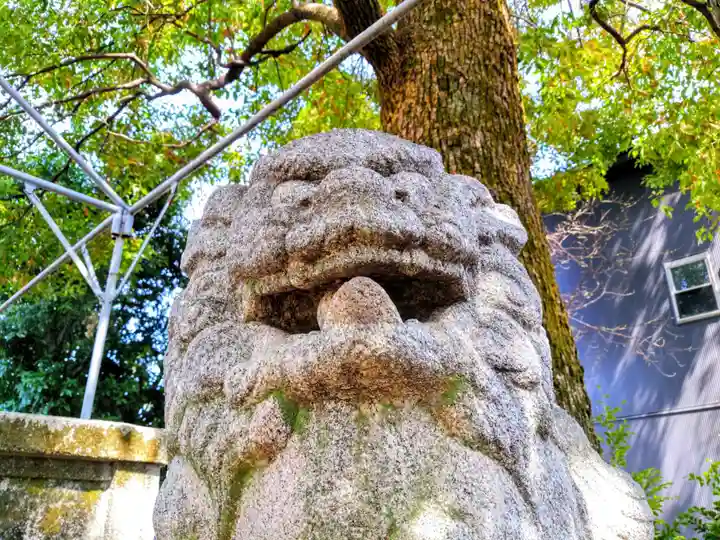 津島社(中野津島社)の狛犬