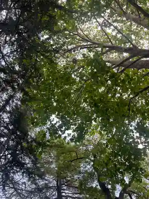川口神社(埼玉県)