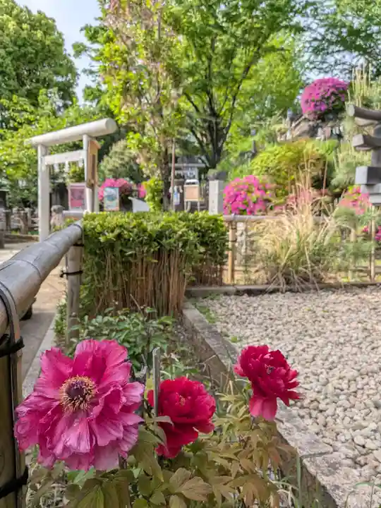 鳩森八幡神社(東京都)