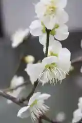 天神社の自然