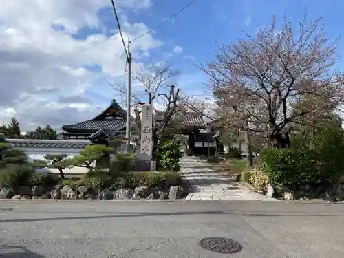 西向寺(京都府)