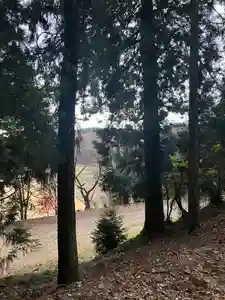 大宮温泉神社(栃木県)(2023年12月04日(月) 08時13分22秒投稿)