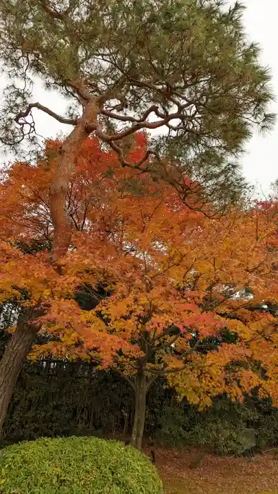 平等院(京都府)