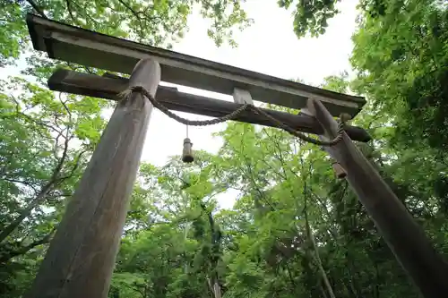 戸隠神社奥社の鳥居