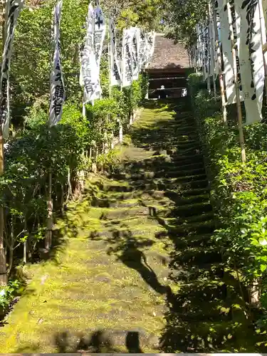 杉本寺の自然