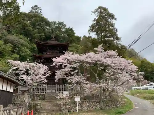 六條八幡宮の自然