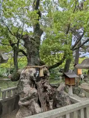 住吉大社(大阪府)
