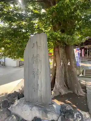 滝野川八幡神社(東京都)