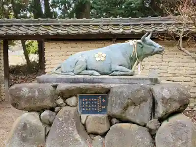 喜多天満宮の狛犬