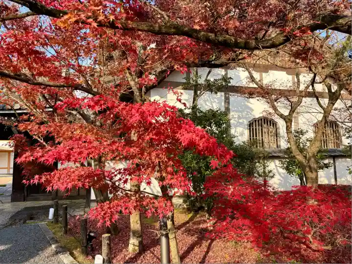 禅林寺(永観堂)(京都府)