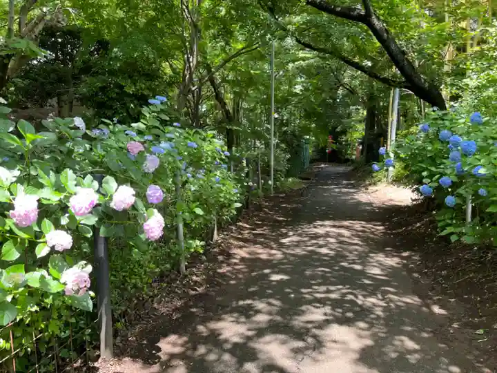 興禅院(埼玉県)