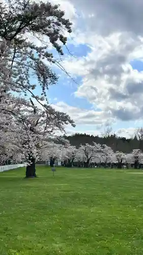 水神社(北海道)