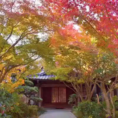 普元寺(愛知県)