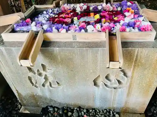 渋谷氷川神社の手水