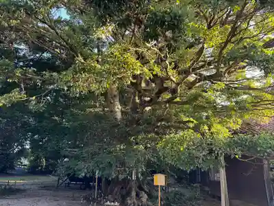 阿太加夜神社(島根県)