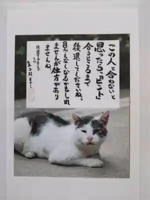 専念寺(大阪府)