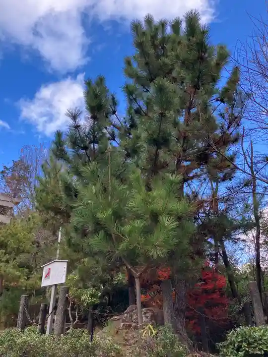 自玉手祭来酒解神社(京都府)
