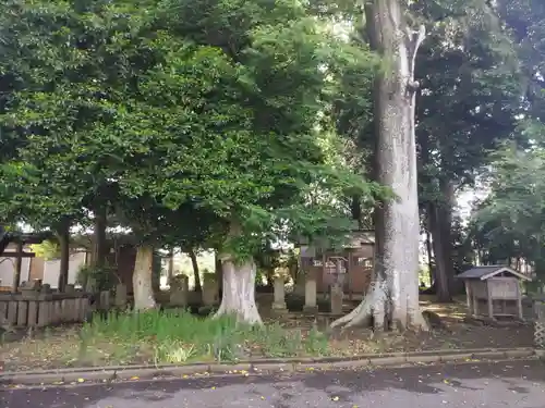 都部八坂神社の建物その他