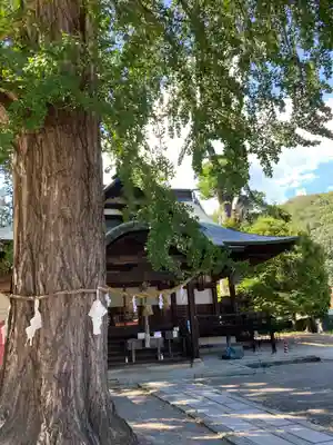 賀羅加波神社(広島県)