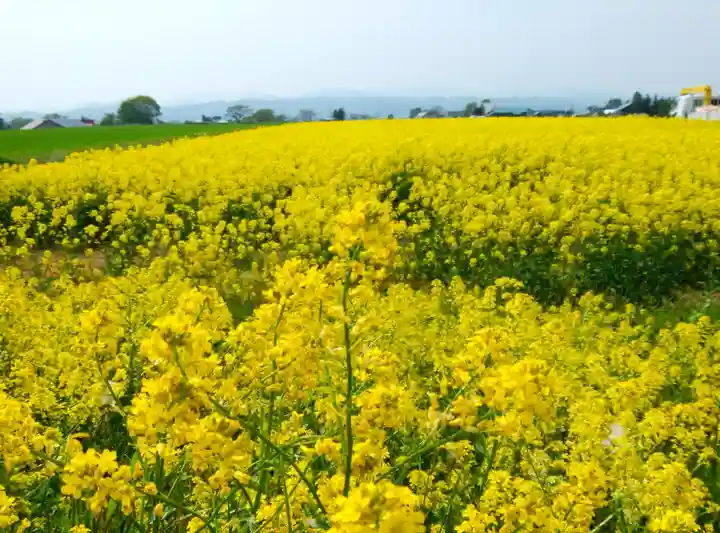 江部乙神社の周辺