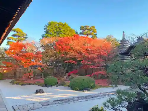 妙顯寺（妙顕寺）の庭園