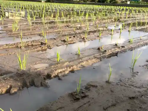 信行寺(福岡県)