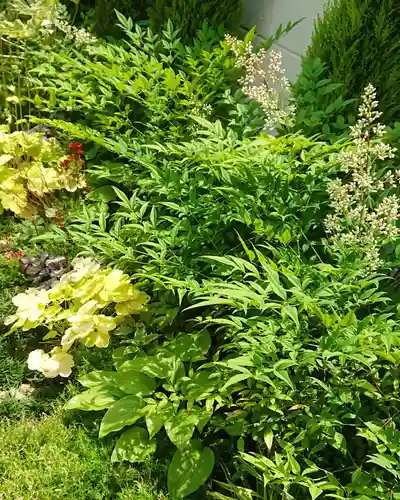 寿量山　速成寺の自然