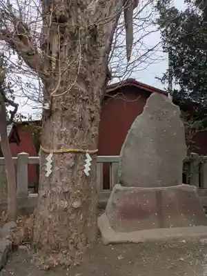 八幡大神(神奈川県)