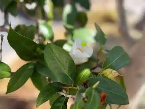 西方山極楽寺(岐阜県)